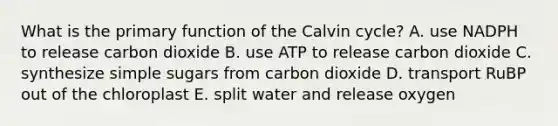 What is the primary function of the Calvin cycle? A. use NADPH to release carbon dioxide B. use ATP to release carbon dioxide C. synthesize simple sugars from carbon dioxide D. transport RuBP out of the chloroplast E. split water and release oxygen