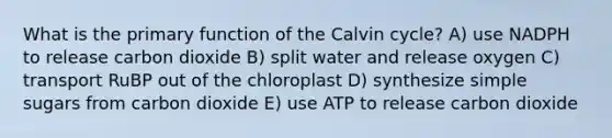 What is the primary function of the Calvin cycle? A) use NADPH to release carbon dioxide B) split water and release oxygen C) transport RuBP out of the chloroplast D) synthesize simple sugars from carbon dioxide E) use ATP to release carbon dioxide