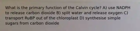 What is the primary function of the Calvin cycle? A) use NADPH to release carbon dioxide B) split water and release oxygen C) transport RuBP out of the chloroplast D) synthesise simple sugars from carbon dioxide