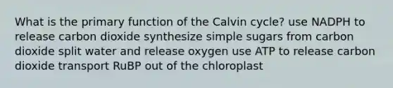 What is the primary function of the Calvin cycle? use NADPH to release carbon dioxide synthesize simple sugars from carbon dioxide split water and release oxygen use ATP to release carbon dioxide transport RuBP out of the chloroplast