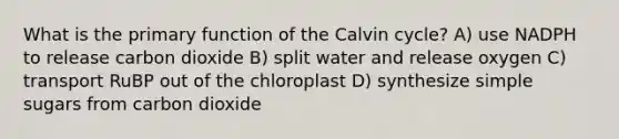 What is the primary function of the Calvin cycle? A) use NADPH to release carbon dioxide B) split water and release oxygen C) transport RuBP out of the chloroplast D) synthesize simple sugars from carbon dioxide