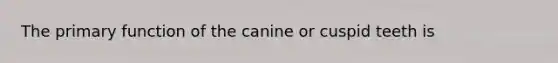 The primary function of the canine or cuspid teeth is