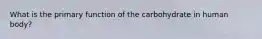 What is the primary function of the carbohydrate in human body?