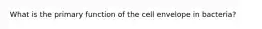 What is the primary function of the cell envelope in bacteria?