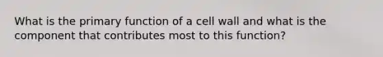 What is the primary function of a cell wall and what is the component that contributes most to this function?