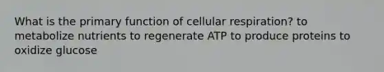 What is the primary function of <a href='https://www.questionai.com/knowledge/k1IqNYBAJw-cellular-respiration' class='anchor-knowledge'>cellular respiration</a>? to metabolize nutrients to regenerate ATP to produce proteins to oxidize glucose