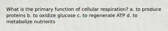 What is the primary function of cellular respiration? a. to produce proteins b. to oxidize glucose c. to regenerate ATP d. to metabolize nutrients