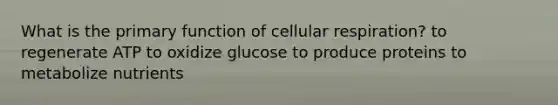 What is the primary function of cellular respiration? to regenerate ATP to oxidize glucose to produce proteins to metabolize nutrients