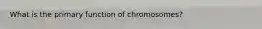 What is the primary function of chromosomes?