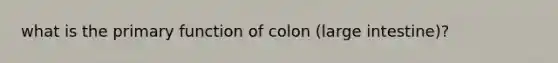 what is the primary function of colon (large intestine)?