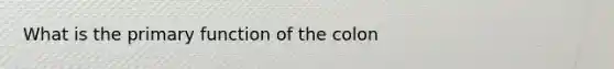 What is the primary function of the colon