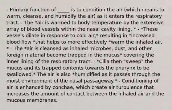 - Primary function of _____ is to condition the air (which means to warm, cleanse, and humidify the air) as it enters the respiratory tract. - The *air is warmed to body temperature by the extensive array of <a href='https://www.questionai.com/knowledge/kZJ3mNKN7P-blood-vessels' class='anchor-knowledge'>blood vessels</a> within the nasal cavity lining. * - *These vessels dilate in response to cold air,* resulting in *increased blood flow *that helps to more effectively *warm the inhaled air. * - The *air is cleansed as inhaled microbes, dust, and other foreign material become trapped in the mucus* covering the inner lining of the respiratory tract. - *Cilia then "sweep" the mucus and its trapped contents towards <a href='https://www.questionai.com/knowledge/ktW97n6hGJ-the-pharynx' class='anchor-knowledge'>the pharynx</a> to be swallowed.* The air is also *humidified as it passes through the moist environment of the nasal passageway.* - Conditioning of air is enhanced by conchae, which create air turbulence that increases the amount of contact between the inhaled air and the mucous membranes.