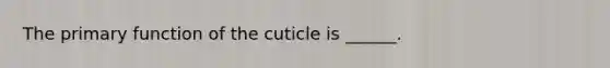 The primary function of the cuticle is ______.