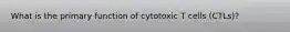 What is the primary function of cytotoxic T cells (CTLs)?