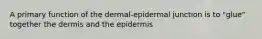 A primary function of the dermal-epidermal junction is to "glue" together the dermis and the epidermis