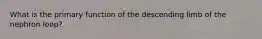 What is the primary function of the descending limb of the nephron loop?