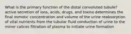 What is the primary function of the distal convoluted tubule? active secretion of ions, acids, drugs, and toxins determines the final osmotic concentration and volume of the urine reabsorption of vital nutrients from the tubular fluid conduction of urine to the minor calices filtration of plasma to initiate urine formation