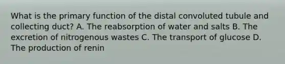 What is the primary function of the distal convoluted tubule and collecting duct? A. The reabsorption of water and salts B. The excretion of nitrogenous wastes C. The transport of glucose D. The production of renin