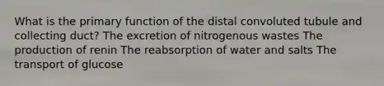 What is the primary function of the distal convoluted tubule and collecting duct? The excretion of nitrogenous wastes The production of renin The reabsorption of water and salts The transport of glucose