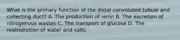 What is the primary function of the distal convoluted tubule and collecting duct? A. The production of renin B. The excretion of nitrogenous wastes C. The transport of glucose D. The reabsorption of water and salts