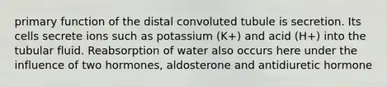 primary function of the distal convoluted tubule is secretion. Its cells secrete ions such as potassium (K+) and acid (H+) into the tubular fluid. Reabsorption of water also occurs here under the influence of two hormones, aldosterone and antidiuretic hormone