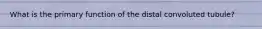 What is the primary function of the distal convoluted tubule?