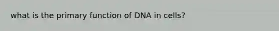 what is the primary function of DNA in cells?