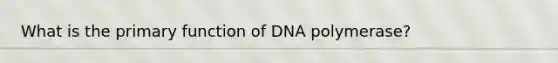 What is the primary function of DNA polymerase?