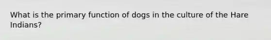 What is the primary function of dogs in the culture of the Hare Indians?