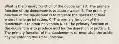 What is the primary function of the duodenum? A. The primary function of the duodenum is to absorb water. B. The primary function of the duodenum is to regulate the speed that food enters the large intestine. C. The primary function of the duodenum is to produce vitamin K. D. The primary function of the duodenum is to produce acid for the digestion of protein. E. The primary function of the duodenum is to neutralize the acidic chyme entering the small intestine.