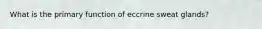 What is the primary function of eccrine sweat glands?