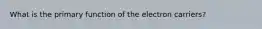 What is the primary function of the electron carriers?