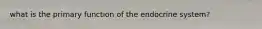 what is the primary function of the endocrine system?