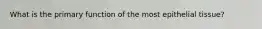 What is the primary function of the most epithelial tissue?