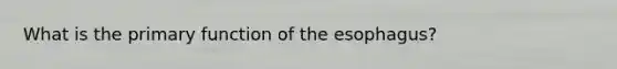 What is the primary function of the esophagus?