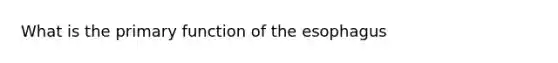 What is the primary function of the esophagus