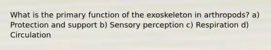 What is the primary function of the exoskeleton in arthropods? a) Protection and support b) Sensory perception c) Respiration d) Circulation