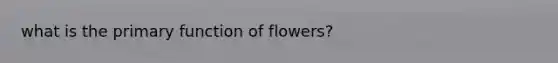 what is the primary function of flowers?