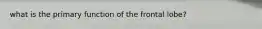 what is the primary function of the frontal lobe?