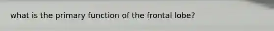 what is the primary function of the frontal lobe?