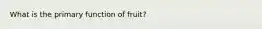 What is the primary function of fruit?