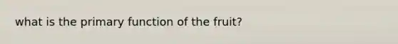 what is the primary function of the fruit?