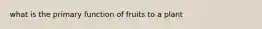 what is the primary function of fruits to a plant