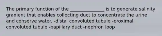 The primary function of the _______________ is to generate salinity gradient that enables collecting duct to concentrate the urine and conserve water. -distal convoluted tubule -proximal convoluted tubule -papillary duct -nephron loop