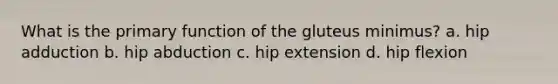 What is the primary function of the gluteus minimus? a. hip adduction b. hip abduction c. hip extension d. hip flexion