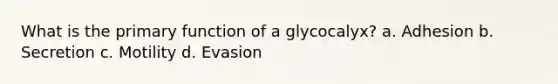 What is the primary function of a glycocalyx? a. Adhesion b. Secretion c. Motility d. Evasion