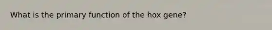 What is the primary function of the hox gene?