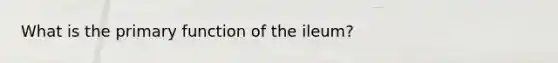 What is the primary function of the ileum?