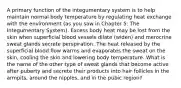 A primary function of the integumentary system is to help maintain normal body temperature by regulating heat exchange with the environment (as you saw in Chapter 5: The Integumentary System). Excess body heat may be lost from the skin when superficial blood vessels dilate (widen) and merocrine sweat glands secrete perspiration. The heat released by the superficial blood flow warms and evaporates the sweat on the skin, cooling the skin and lowering body temperature. What is the name of the other type of sweat glands that become active after puberty and secrete their products into hair follicles in the armpits, around the nipples, and in the pubic region?