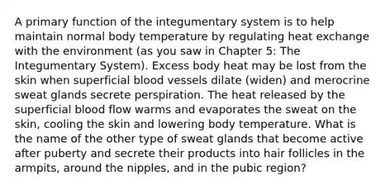 A primary function of the integumentary system is to help maintain normal body temperature by regulating heat exchange with the environment (as you saw in Chapter 5: The Integumentary System). Excess body heat may be lost from the skin when superficial blood vessels dilate (widen) and merocrine sweat glands secrete perspiration. The heat released by the superficial blood flow warms and evaporates the sweat on the skin, cooling the skin and lowering body temperature. What is the name of the other type of sweat glands that become active after puberty and secrete their products into hair follicles in the armpits, around the nipples, and in the pubic region?